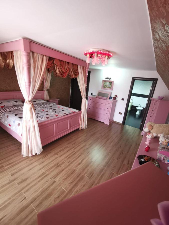 Vila De Vacanta คูร์ตา เด อาร์เจช ภายนอก รูปภาพ