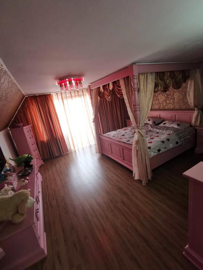 Vila De Vacanta คูร์ตา เด อาร์เจช ภายนอก รูปภาพ