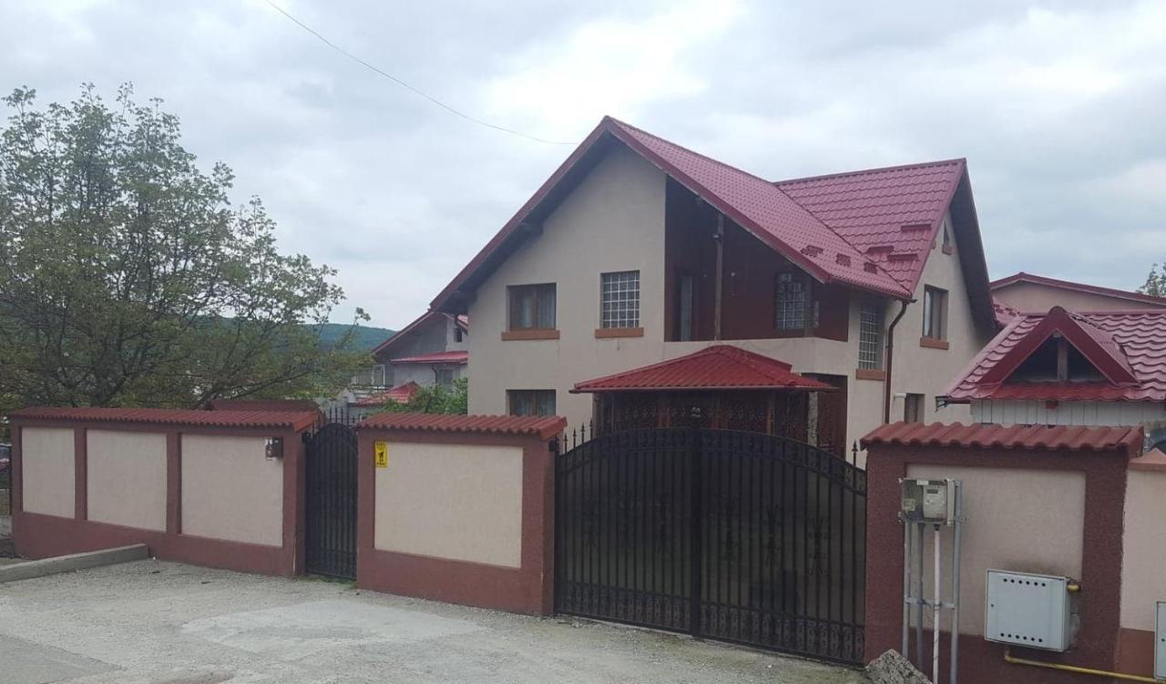 Vila De Vacanta คูร์ตา เด อาร์เจช ภายนอก รูปภาพ